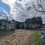 Risaliamo sul lato opposto della vallata dove incrociamo le ultime grotte del villaggio rupestre